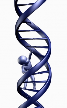 Baby DNA